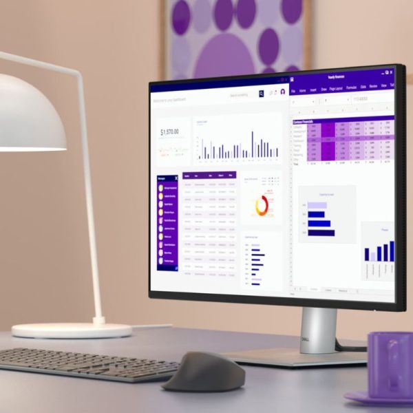 Dell P2425E Monitor USB C Hub 24 inch office desk setup