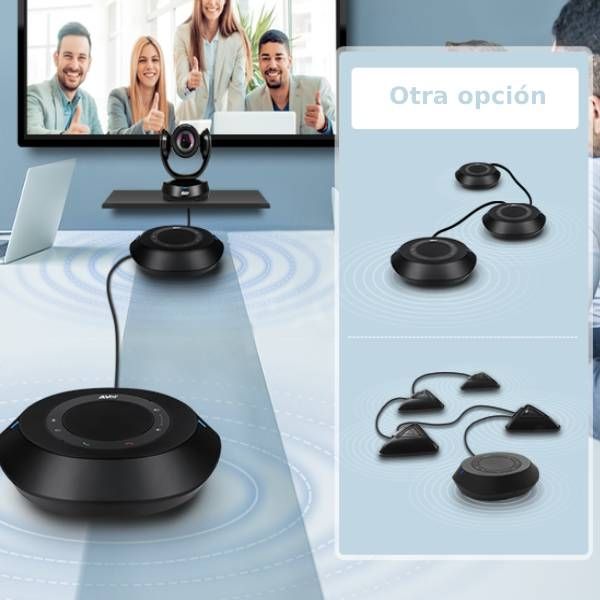 Par de Microfones adicionais AVer VC520 Pro