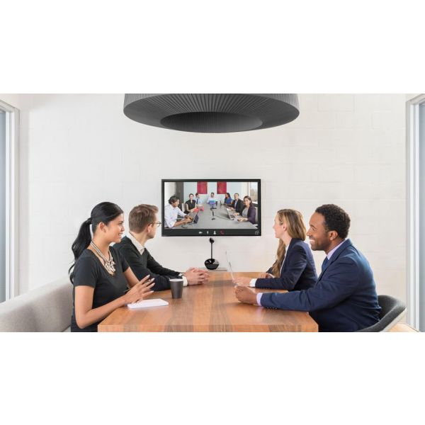 Logitech BCC950 Conference Cam 