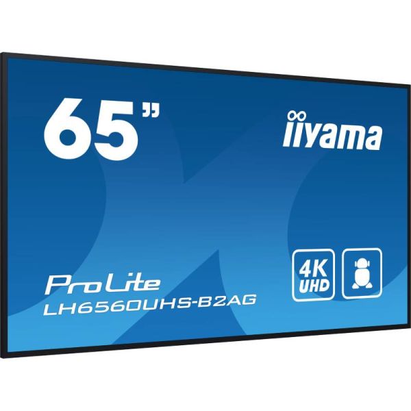 iiyama ProLite LH6560UHS-B2AG