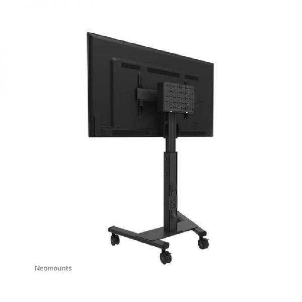 Neomounts suporte de chão FL50S-825BL1 