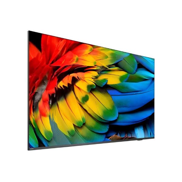 Philips 58HFL6214U 4K Screen