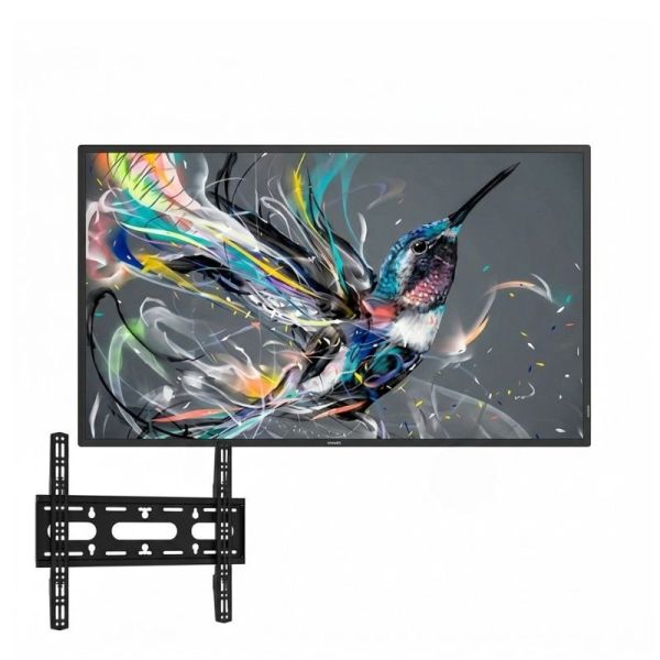 Philips Q-Line 65 with B-Tech BT8441 wall mount