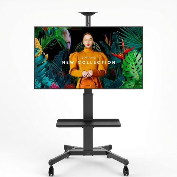 Pack Samsung QBC 65'' + Vision VFM-F22