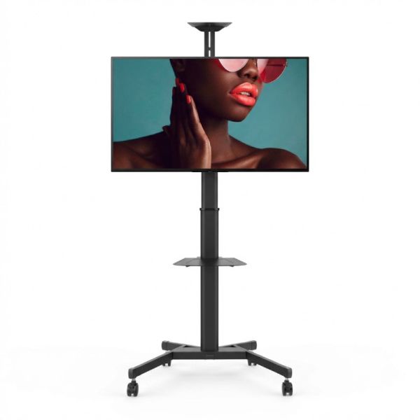 Pack Sony BRAVIA BZ40L 55’’ + Vision VFM-F19