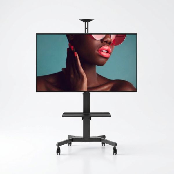 Pack Sony BRAVIA BZ40L 65’’ + Vision VFM-F22