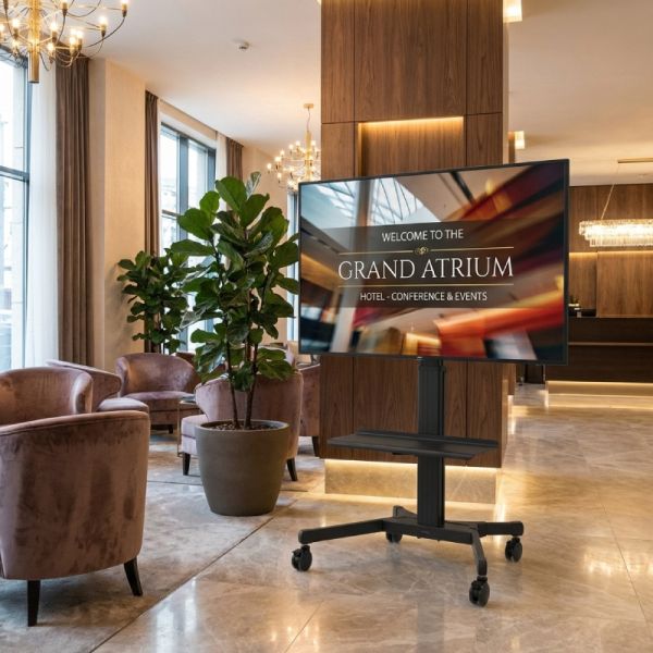 Pack Sony BRAVIA BZ40L 65’’ + Vision VFM-F22