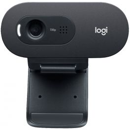 Logitech C505