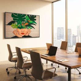 Philips D-Line 55BDL4511D