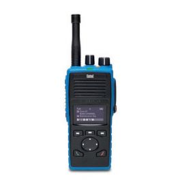 Entel DT953 ATEX PMR446 com ecrã