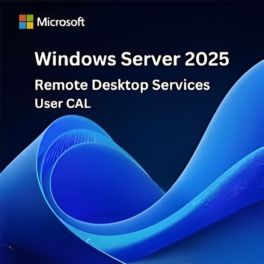Microsoft Remote Desktop Services CAL user 2025