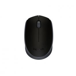 Logitech Mouse M171