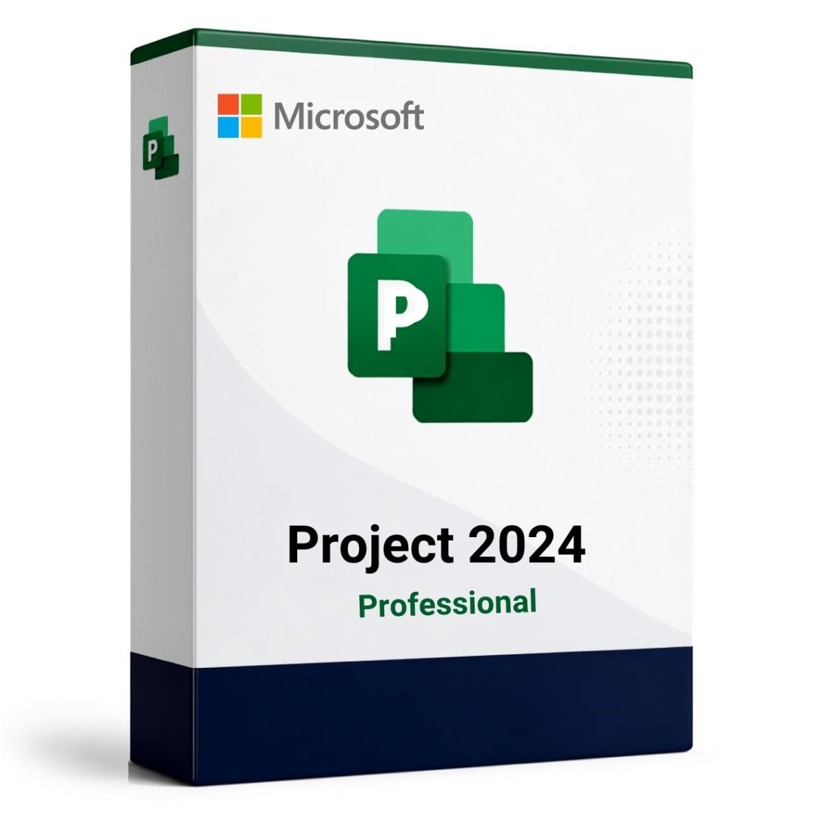 Microsoft Project Professional 2024 para PC