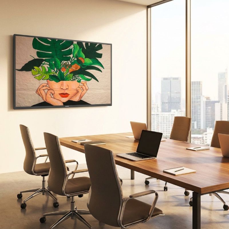 Philips D-Line 55BDL4511D Ecrã 4K de 55''