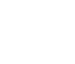 Motorla